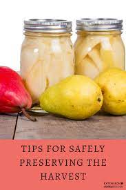 Pin On Food Preservation