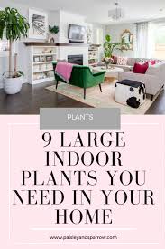 9 Large Indoor Plants You Need In Your Home Paisley Sparrow The 9 Best Large Indoor Plants In 2020 Large Indoor Plants Hanging Plants Indoor House Plants Indoor