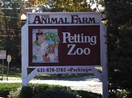 Maybe you would like to learn more about one of these? Animal Farm Petting Zoo In Manorville Photo Gallery