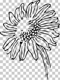 Black and white clipart sunflowers. Common Sunflower Drawing Black And White Png Clipart Area Black Black And White Circle Common Sunflower Free Png Download