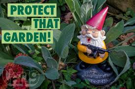 Image result for gnome