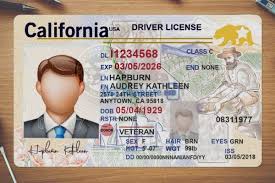 California Driver License Template High Quality Driving License Template In 2020 Drivers License Ca Drivers License Id Card Template
