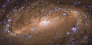 Ngc 2608 is situated north of the celestial equator and, as such, it is more easily visible from the northern hemisphere. Barred Spiral Galaxy Hogewash