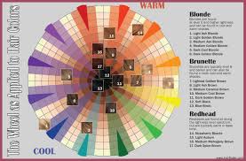 Base Hair Color Chart 126192 4 X 5 Silk Base Topper