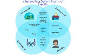 Recognises The Interrelationship Of Determinants Hsc Pdhpe Health Education Education Health Services