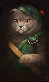 Scottish Fold Cat Scottish Fold Cats And Kittens Cat Art