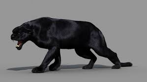 Panther Black 3d Model Black Panther Cat Panther Cat Animals