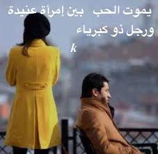 يموت الحب بين إمرأة عنيدة ورجل ذو كبرياء Arabic Quotes Words Quotes