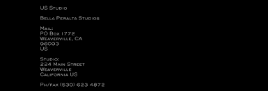 Bella Peralta is internationally renowned as a multidisciplinary artist