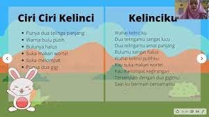 Apa salahnya, puisi merupakan salah satu media yang biasa di gunakan oleh seseorang dalam mengungkapkan. Membuat Puisi Tentang Hewan Kelas 2 Sdn 2 Karangluhur Youtube