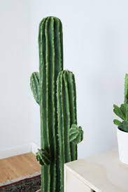 What are pool noodles made of? Diy Cactis From Pool Noodles How To Make An Ornament Home Diy On Cut Out Keep