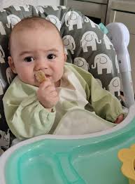 Serving blueberries to 12 month old?