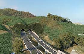 One of the areas is a known koala corridor. Tenders Close On Contract For Initial Coffs Bypass Works News Of The Area