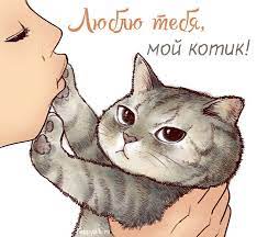 lyublyu tebya kartinki illyustracii koshek milye risunki koshachij risunok