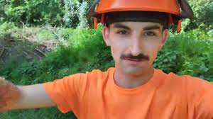 Abattage pour bois de chauffage. STIHL MS 261C 🌳🪓🪚 #stihl