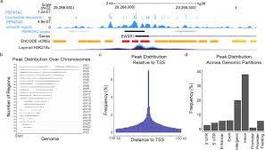 Are you ready for some action? Pepatac An Optimized Atac Seq Pipeline With Serial Alignments Biorxiv