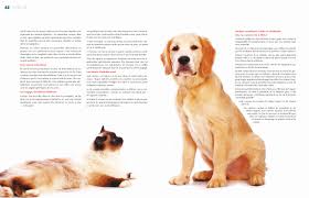 Ensemble, ils vont essayer de comprendre ce qui est arrivé à la jeune. Aime Moi Si Tu Peux Animalscc