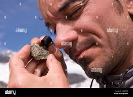 Geologist examining rock hi-res stock photography and images