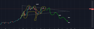 Btc Careful Here As This Could Be The Vomiting Camel For
