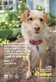 It is important to consider the type of pet that would best fit into your family and lifestyle. 54 Inspiring Messages Ideas Animal Rescue Pets Rescue Dogs