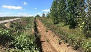 Вместо того, чтобы завершить обустройство государственной границы, из него сделали политический процесс по уничтожению одного из политиков, - Сюмар - Цензор.НЕТ 4794