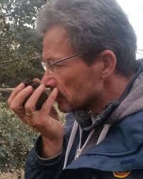 Trüffeln suchen, finden, bestimmen und anbauen