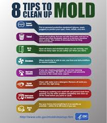 Penetrates to the roots of mildew. What To Do If Your House Has Mold Health Risks And Tips To Remove Mold Pressure Washing Massachusetts Instabrite