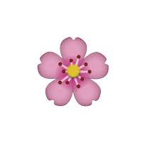 The pink flower that is also known as cherry blossom is one of the most preferred flower emojis. P I N K F L O W E R E M O J I Zonealarm Results