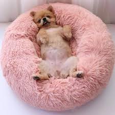 It is fairly resilient, and several items of washing down the line are still very usable. Comfy Calming High Stretch Soft Pet Dog Bed Cat House Buy 1 Get 2nd 10 Thebigblackfriday Dog Pet Beds Faux Fur Pet Bed Pets