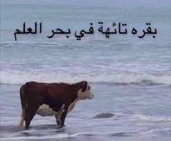 noni on twitter funny cartoon quotes funny picture jokes memes funny faces