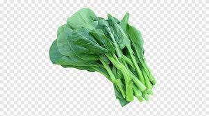 Tambahkan wortel dan jagung manis pipil sebagai variasi. Bayam Brokoli Cina Collard Hijau Sayuran Hijau Celtuce Curry Mee Daun Sayuran Makanan Png Pngegg