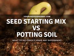 It usually won't harm the growth of the seeds. Seed Starting Mix Vs Potting Soil What To Choose Your Indoor Herbs
