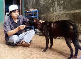 Pendapat mazhab maliki dan hanafi menyatakan bahawa anjing . Pustaka Ilmu Sunni Salafiyah Ktb Piss Ktb Hukum Menyentuh Anjing Tanpa Ada Keperluan Lalu Bagaimana Hukumnya Jika Menyentuh Anjing Tanpa Adanya Hajat Atau Keperluan Jika Kita Yakin Tangan Kita Atau
