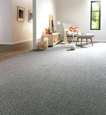 Image Result For Light Grey Carpet White Walls Grey Carpet Living Room Grey Carpet Bedroom Living Room Carpet
