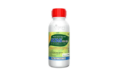 Atas 500EC