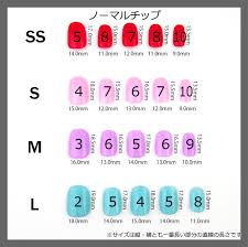 ネイル チップ 大きい サイズ