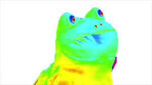 Sapinho Dancando Take On Me Meme Do Raibown Frog Take On Me Flauta Zuada Youtube O sapo dançante, também conhecido como a torrente ou sapo tropical, é um gênero único de sapo que pertence à classe dos anfíbios. sapinho dancando take on me meme do raibown frog take on me flauta zuada