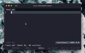Enable Spell Checking In Vim For Markdown And Git Commit Messages Adam Albrecht