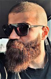 The email casually pointed out how 1000 per cent of men now trim or shave their pubic hair (roughly, i'm paraphrasing here). How To Shave Neck Beard Reddit Arxiusarquitectura