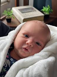 Daniel Flores Maese (@daniel_flores_maese) · Instagram 照片和视频