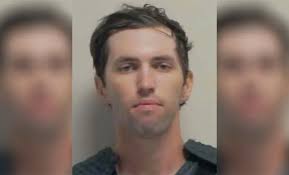 Rescuers save dog locked outside