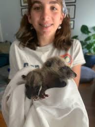 Sebastian Middle School