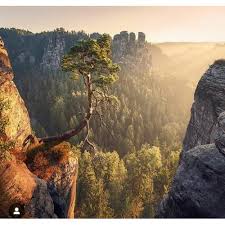 Check spelling or type a new query. Laminated Paper Natural Scenery Wallpaper Rs 1500 Roll Elegant Decor Id 22465240730