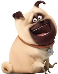 The secret life of pets 2 rated pg for adorable animals in occasional peril, and a. The Secret Life Of Pets 2 Trailer Own It On Digital Now 4k Ultra Hd Blu Ray Dvd Also Available On Demand