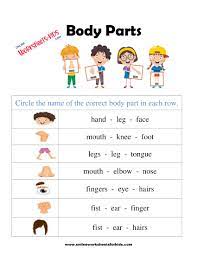 free body parts worksheet and printable sheets for kids