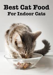 Best Cat Food For Indoor Cats Top Tips And Reviews Healthy Cat Food Cat Food Brands Dry Cat Food