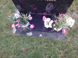 I saw that the dress had been put upon the rounded figure of a young woman, and that the figure upon which it now hung loose had shrunk to skin and bone. Natural Burial Ground The Snail Of Happiness