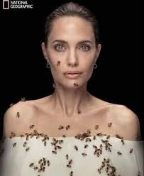 Actor poses with bees for photo shoot