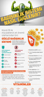 Bagisiklik Sistemi Nasil Guclenir 2020 Bagisiklik Sistemi Saglikli Yasam Beslenme