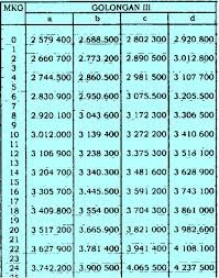 Tapi itu baru gaji pokok pns saja ya karena kalau dibandingkan dengan gaji pokok pegawai swasta memang terbilang kecil. Gaji Pns Golongan 3 Media Ilmu